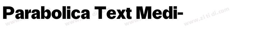 Parabolica Text Medi字体转换 Parabolica Text Medi字体转换